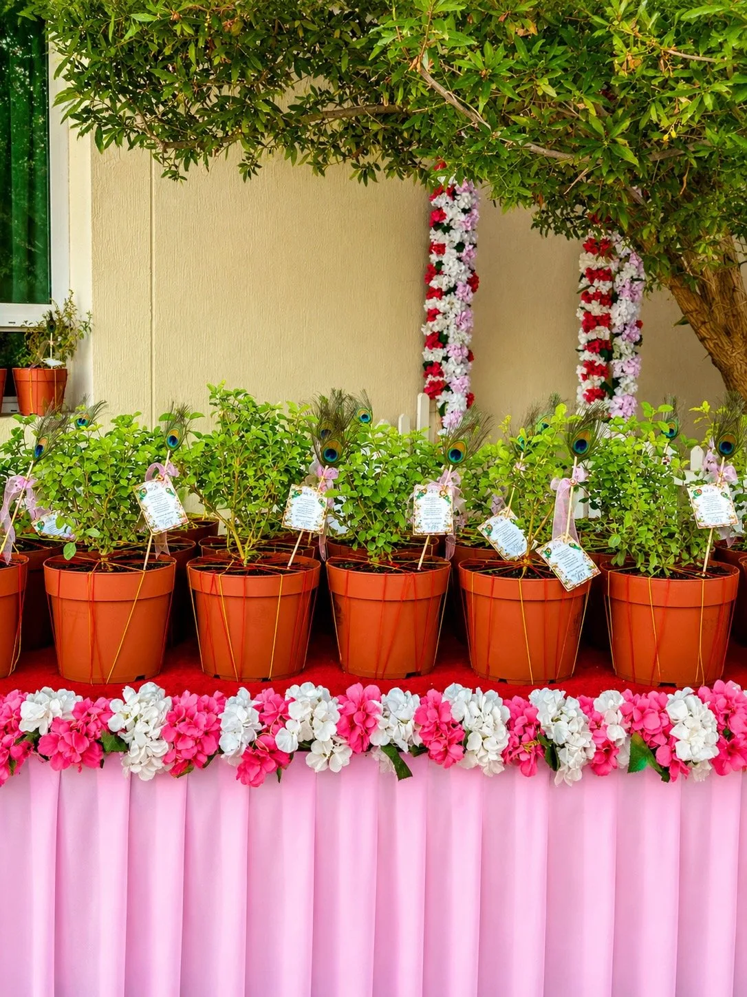 Bulk Potted Plant Gifts by Busybee Creations